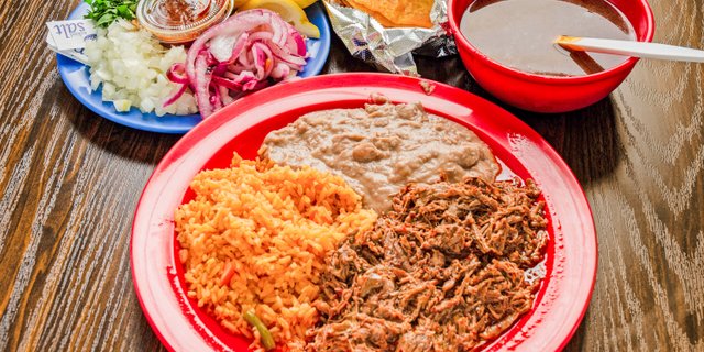 Birria Plate
