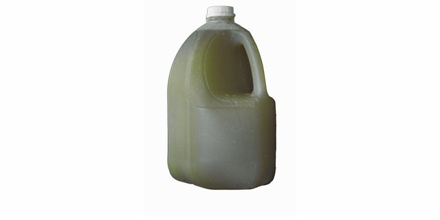 Gallon Mint Lemonade