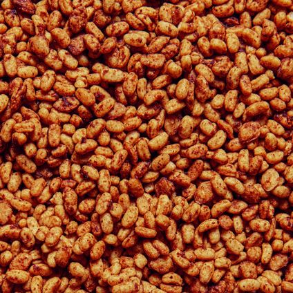 Crispy Rice