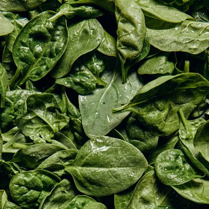 Baby Spinach