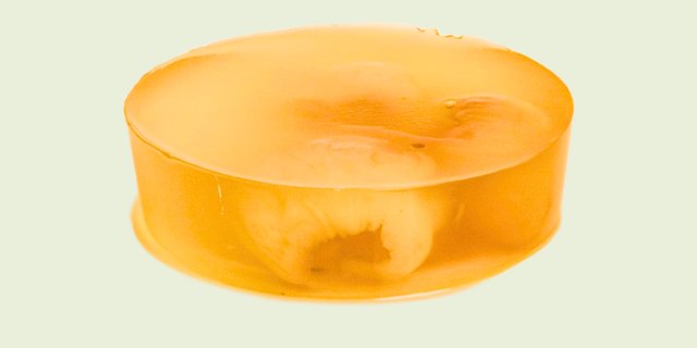 Longan Jelly