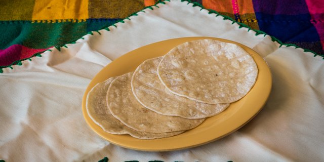 Organic Corn Tortillas