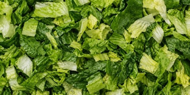 Crisp Romaine