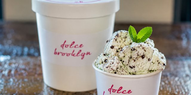 Premium Gelato Tray
