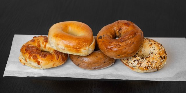 Bullfrog Bagel Box