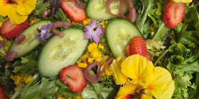 Organic Mixed Greens Salad