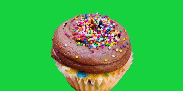 Chocolate Funfetti Cupcake