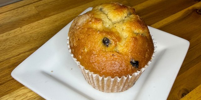 Blueberry Muffin