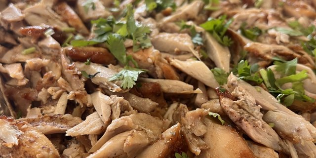 Shawarma (9X13)