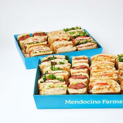 Large Sandwich Tray