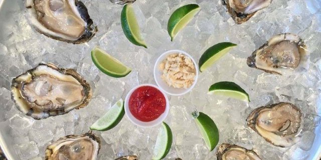 Oysters