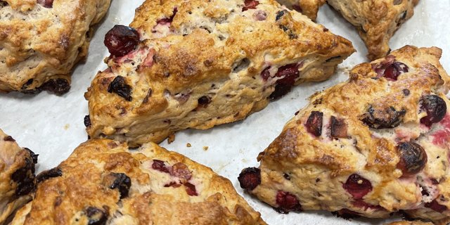 Cranberry Scone