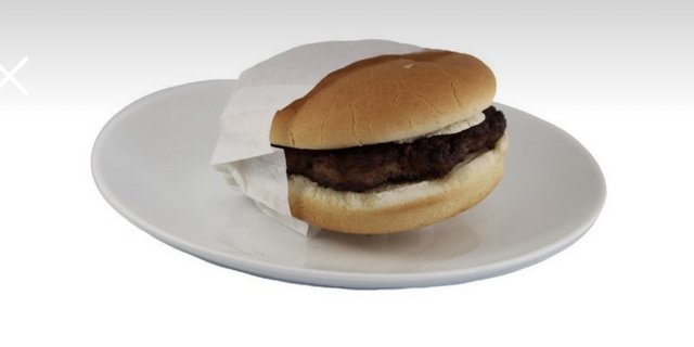 Hamburger w/ Fries