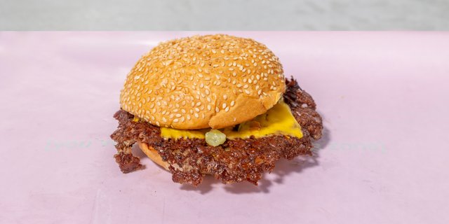 House Burger