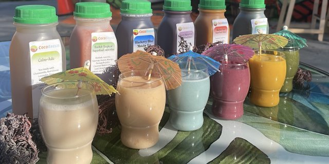 Superfood Sea Moss Shake Flight