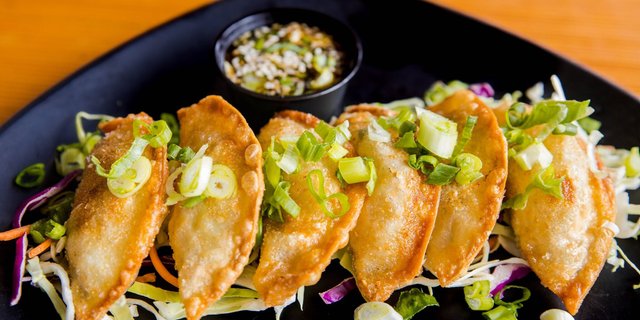 Fried Pork & Vegetables Dumplings