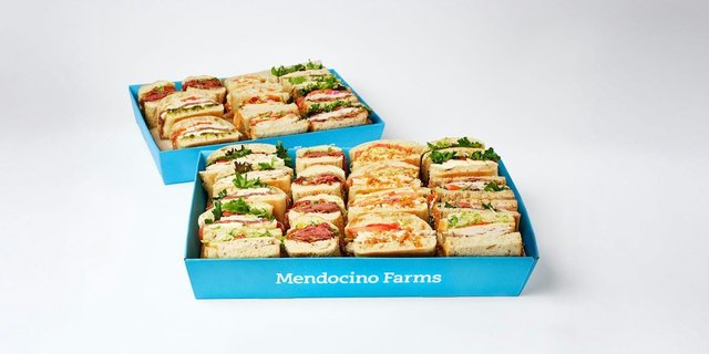 Large Sandwich Tray