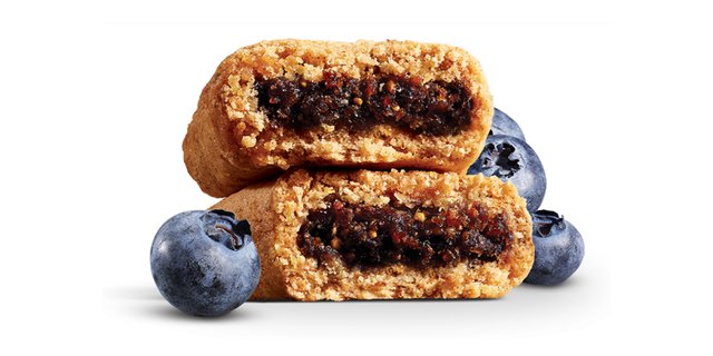 Blueberry Fig Bar