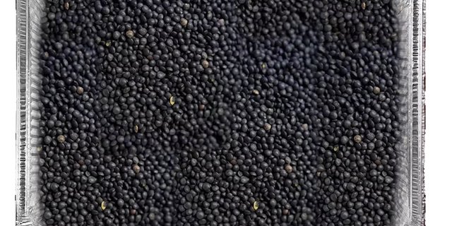 Black Lentils