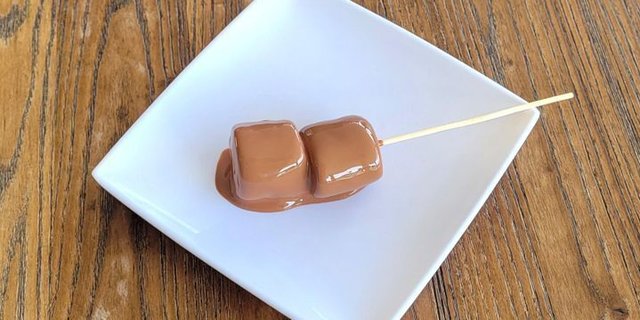 Marshmallow Stick