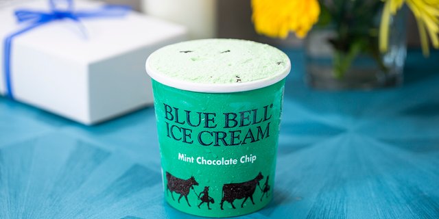 Mint Chocolate Chip Ice Cream Pint
