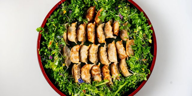 Pan-Fried Homemade Pork Gyoza Tray