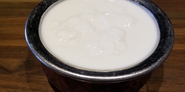 Plain Yogurt