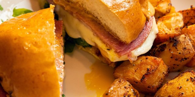 Jersey Sammy
