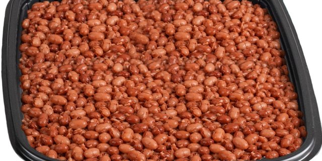 Pinto Beans