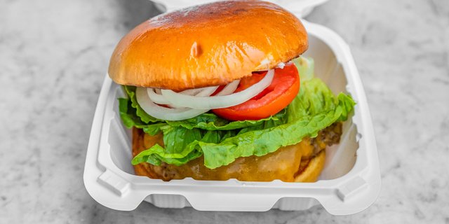 Basic Burger