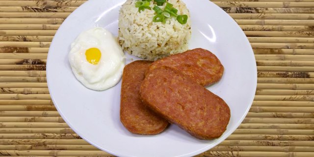 Spamsilog