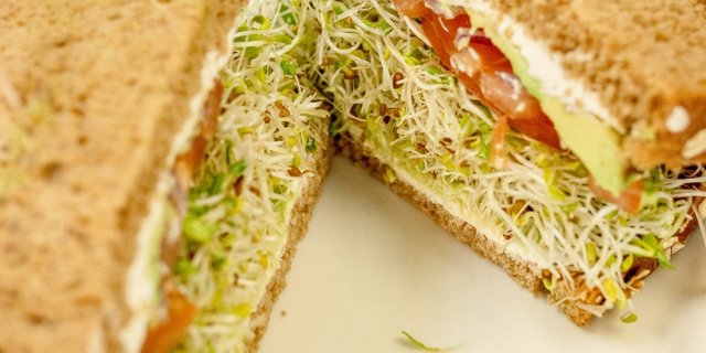 Veggie Sandwich or Wrap Tray