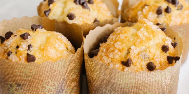 Chocolate Chip Muffin