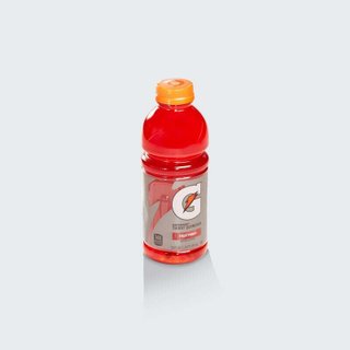 Gatorade Fruit Punch - 20oz Bottle