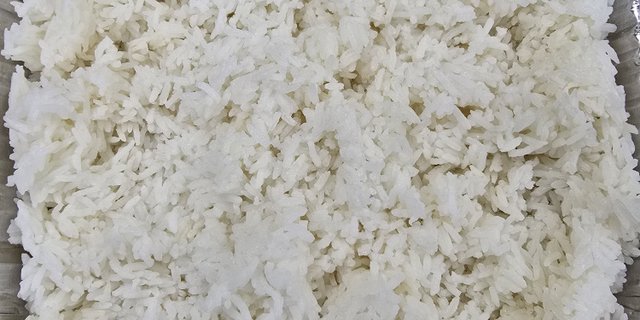 Jasmine Rice