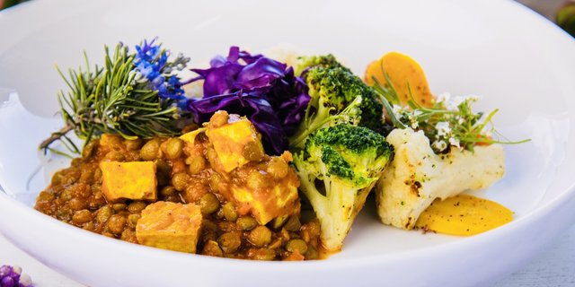 Vegan Lentil & Tofu Cassoulet