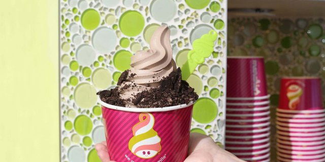 Individual Frozen Yogurt