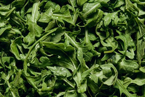 Arugula