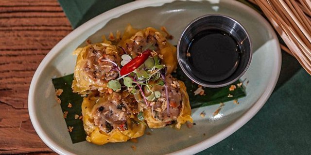 Thai Dumplings