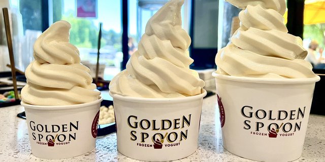 Frozen Yogurt