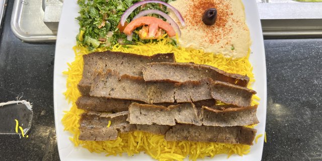 Gyro Plate