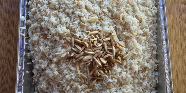 Rice