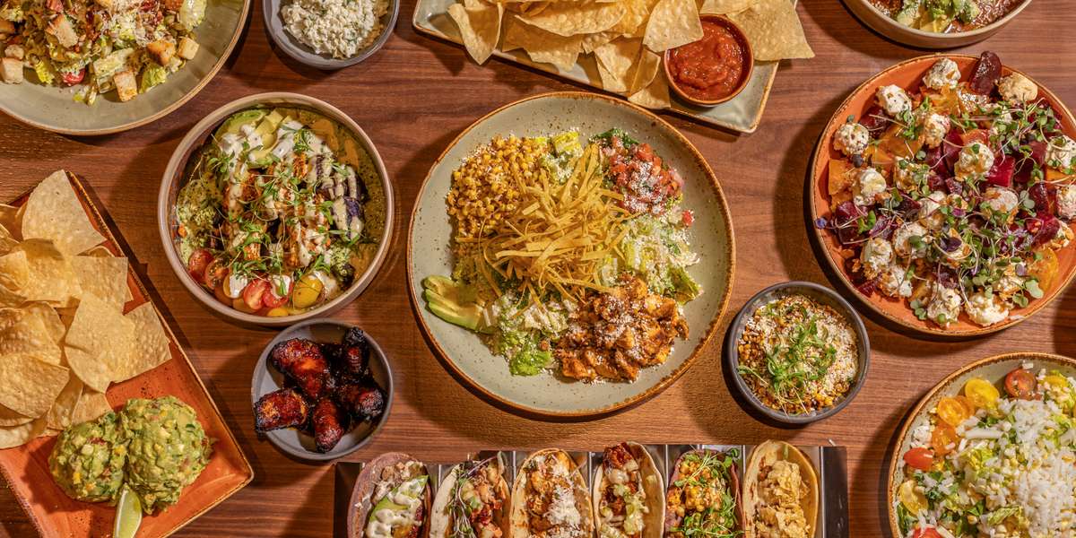 Agave Social