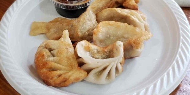 Fried Dumplings
