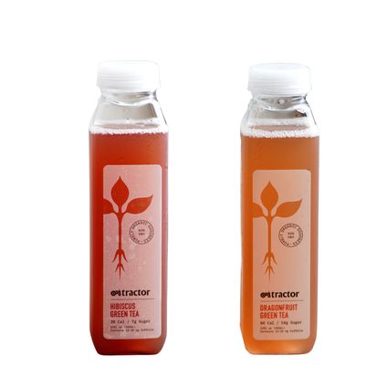 Bottled Roots Tea (Variety Flavors)