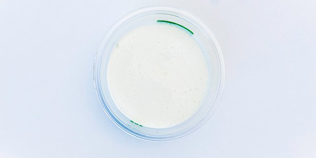 Herb Sour Cream Sauce