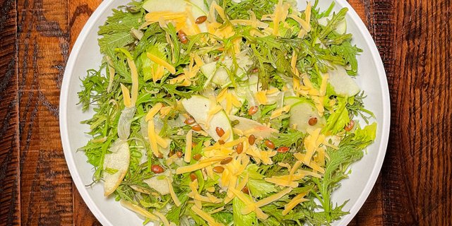 Honeycrisp Apple + Celery Salad