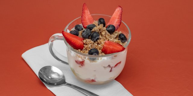 Yogurt Bowl