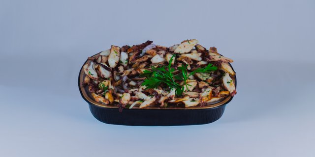 Octopus