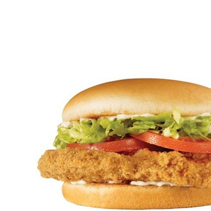 Dude Chicken Fried Steak Sandwich